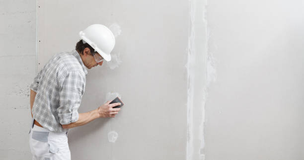 Best Wallpaper Removal and Painting  in Meridian, MS